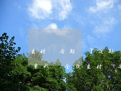 支付寶逾期還了逾期費(fèi)為什么還要我還全款（支付寶逾期還完還要還全款）