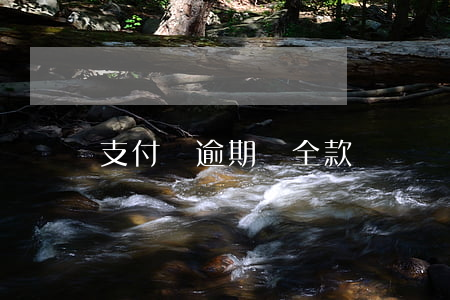 支付寶逾期還全款