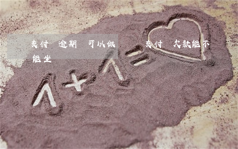 支付寶逾期還可以做飛機嗎(支付寶欠款能不能坐飛機)