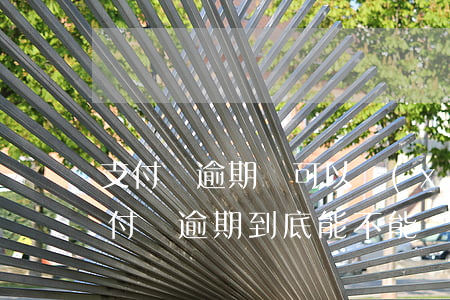 支付寶逾期還可以協(xié)商分期嗎(支付寶逾期到底能不能協(xié)商分期還款)