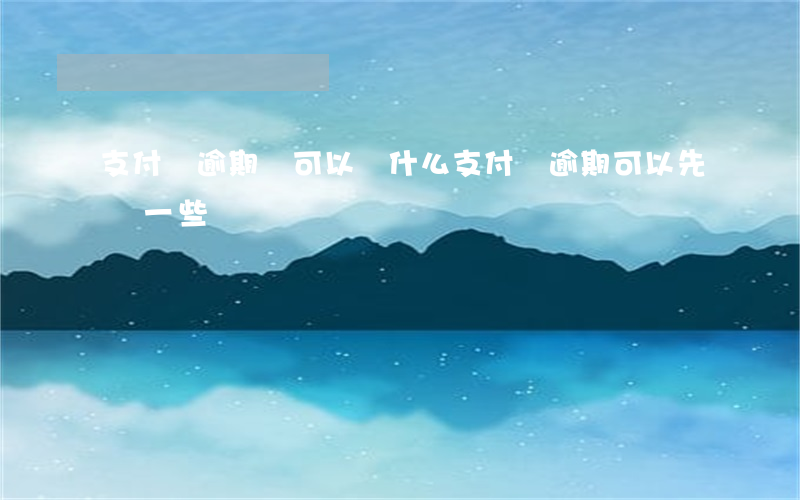 支付寶逾期還可以帶什么(支付寶逾期可以先還一些嗎)