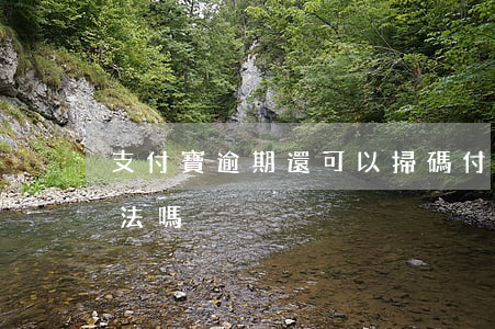 支付寶逾期還可以掃碼付款嗎(支付寶逾期犯法嗎?)