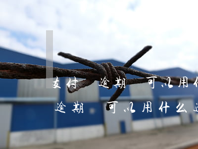 支付寶逾期還可以用什么途徑借錢-支付寶逾期還可以用什么途徑借錢呢
