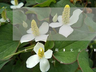 支付寶逾期還完之后顯示什么（支付寶逾期頁面顯示什么）