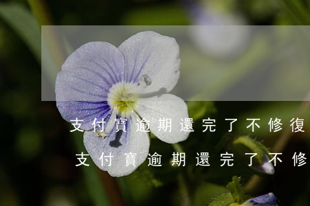 支付寶逾期還完了 不修復(fù)可以嗎-支付寶逾期還完了 不修復(fù)可以嗎知乎