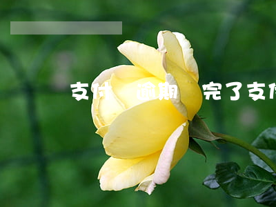 支付寶逾期還完了（支付寶雖然逾期但也還過錢）