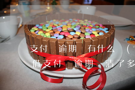 支付寶逾期還有什么網(wǎng)貸可以借(支付寶逾期還清了多久可以貸別的平臺(tái))