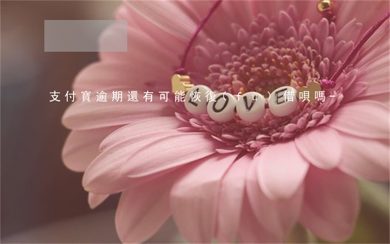 支付寶逾期還有可能恢復(fù)借唄嗎-