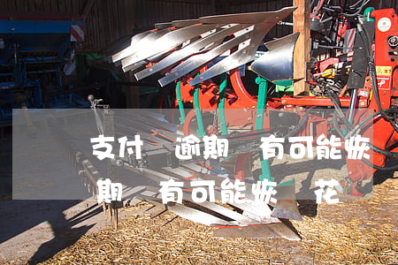 支付寶逾期還有可能恢復花唄嗎-支付寶逾期還有可能恢復花唄嗎怎么辦