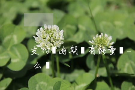 支付寶逾期還有能量嗎-支付寶逾期后會怎么樣
