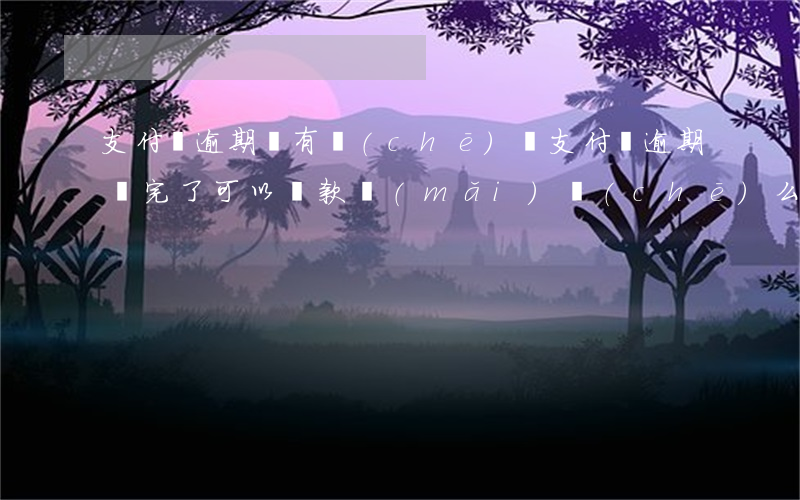 支付寶逾期還有車(chē)貸(支付寶逾期還完了可以貸款買(mǎi)車(chē)么)