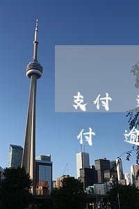 支付寶逾期還有額度嗎現(xiàn)在（支付寶逾期還有額度嗎）