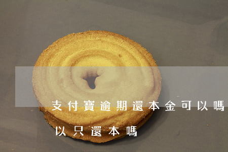 支付寶逾期還本金可以嗎(支付寶逾期兩年可以只還本嗎?)