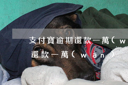支付寶逾期還款一萬(wàn)(支付寶逾期還款一萬(wàn))
