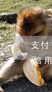 支付寶逾期還款了信用卡能辦么(支付寶可以信用卡還款么)