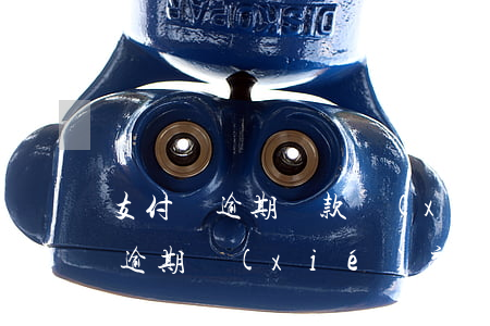 支付寶逾期還款協(xié)商憑證(支付寶逾期協(xié)商日期前沒有還清會怎么樣)