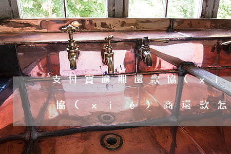 支付寶逾期還款協(xié)商(支付寶逾期協(xié)商還款怎么協(xié)商)
