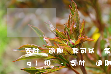 支付寶逾期還款可以從余額寶自動(dòng)扣嗎-支付寶逾期還款可以從余額寶自動(dòng)扣嗎