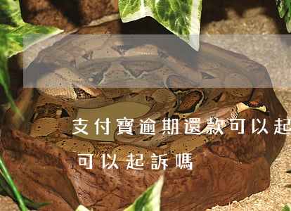 支付寶逾期還款可以起訴嗎(支付寶逾期還款可以起訴嗎)