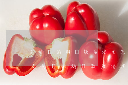 支付寶逾期還款后信用怎樣恢復(fù)-支付寶逾期還款后信用怎樣恢復(fù)正常