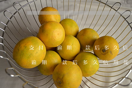 支付寶逾期還款后多久信用能回來-支付寶逾期還款后多久信用能回來啊