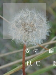 支付寶逾期還款后有影響嗎(支付寶逾期很久以后還款以后能不能使用)