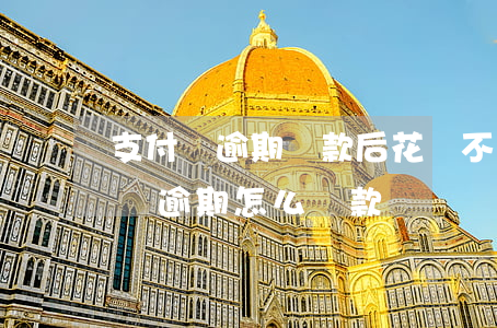 支付寶逾期還款后花唄不見了 我的支付寶花唄逾期怎么還款