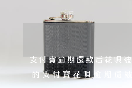 支付寶逾期還款后花唄被凍結(jié)(我的支付寶花唄逾期還被凍結(jié)怎么還款)