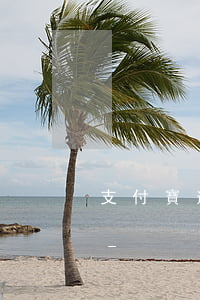 支付寶逾期還款后要結(jié)清證明嗎-
