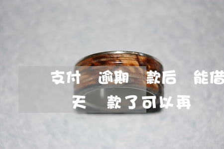 支付寶逾期還款后還能借錢嗎-支付寶逾期兩天還款了可以再繼續(xù)借嗎