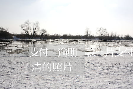 支付寶逾期還款圖片（支付寶逾期3000還清的照片）
