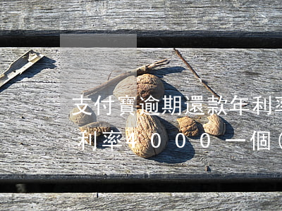 支付寶逾期還款年利率是多少(支付寶逾期日利率4000一個(gè)月是多少)