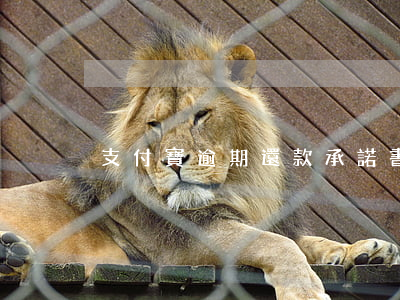 支付寶逾期還款承諾書