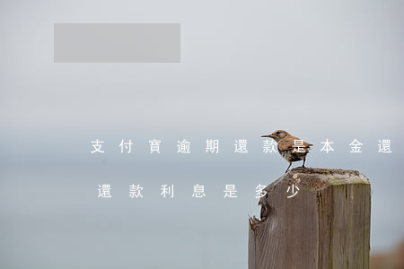 支付寶逾期還款是本金還是利息(支付寶逾期還款利息是多少)