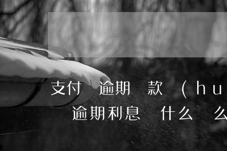 支付寶逾期還款會(huì)多利息嗎(支付寶逾期利息為什么這么高)