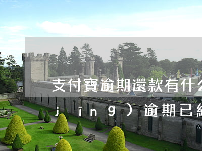 支付寶逾期還款有什么問題-支付寶已經(jīng)逾期已經(jīng)超過還款時間怎么辦