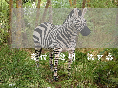 支付寶逾期還款步奏