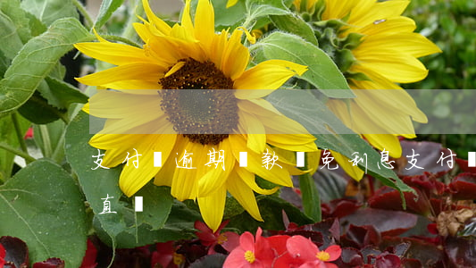支付寶逾期還款減免利息（支付寶逾期利息一直漲）