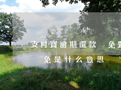 支付寶逾期還款減免對公賬戶-支付寶欠款減免是什么意思
