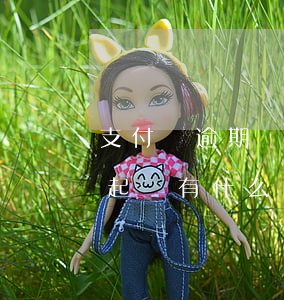支付寶逾期還款用不了嗎(支付寶逾期了還不起錢,有什么辦法可以解決)