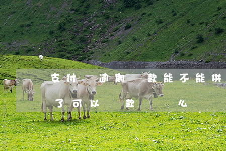 支付寶逾期還款能不能供車(支付寶逾期還完了可以貸款買車么)