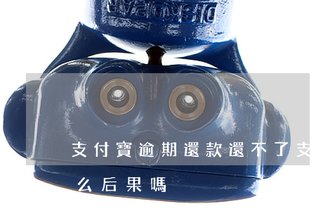 支付寶逾期還款還不了(支付寶逾期不還有什么后果嗎)