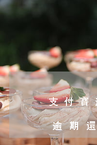 支付寶逾期還款需要還對公賬戶嗎-支付寶逾期還款需要還對公賬戶嗎安全嗎