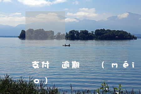 支付寶逾期還沒(méi)還建新號(hào)