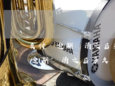 支付寶逾期還清之后多久開通借唄-支付寶逾期還清之后多久開通借唄功能