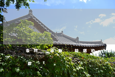 支付寶逾期還能借的貸款(支付寶逾期,還能貸款嗎)