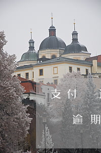 支付寶逾期還能借網(wǎng)貸么(支付寶逾期還能借網(wǎng)貸么)