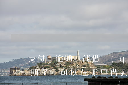 支付寶逾期還能借錢(qián)(支付寶逾期了還可以在哪里借到錢(qián))