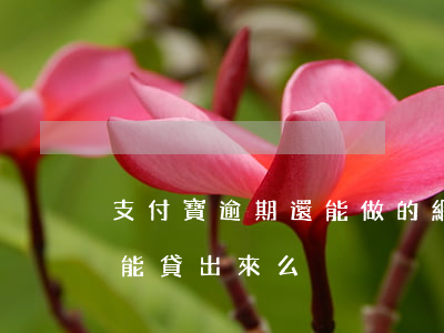 支付寶逾期還能做的網貸(支付寶逾期貸款還能貸出來么)