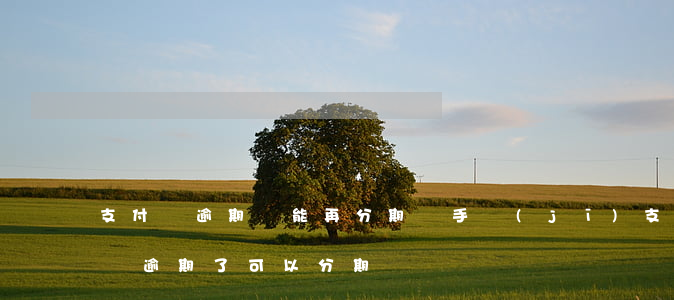支付寶逾期還能再分期嗎手機(jī)(支付寶逾期了可以分期嗎)